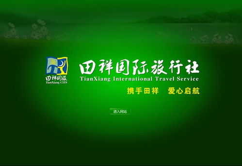 武汉网站建设项目 湖北田祥国际旅行社网站建成开通